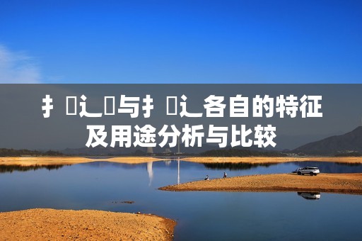 扌喿辶畑与扌喿辶各自的特征及用途分析与比较