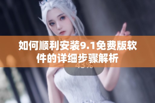 如何顺利安装9.1免费版软件的详细步骤解析