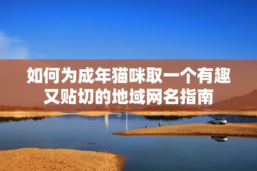 如何为成年猫咪取一个有趣又贴切的地域网名指南