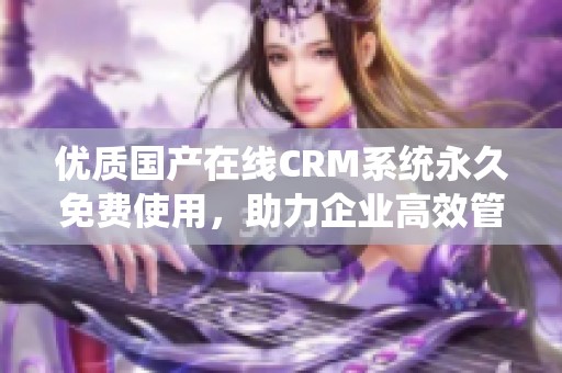 优质国产在线CRM系统永久免费使用，助力企业高效管理客户关系