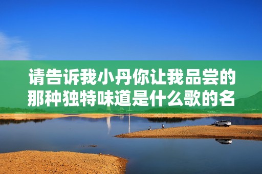 请告诉我小丹你让我品尝的那种独特味道是什么歌的名称