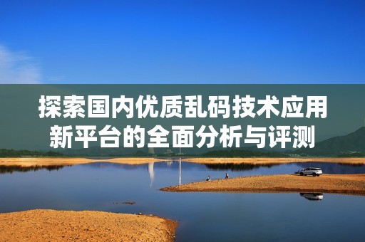 探索国内优质乱码技术应用新平台的全面分析与评测
