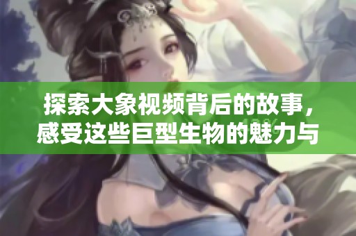 探索大象视频背后的故事，感受这些巨型生物的魅力与智慧