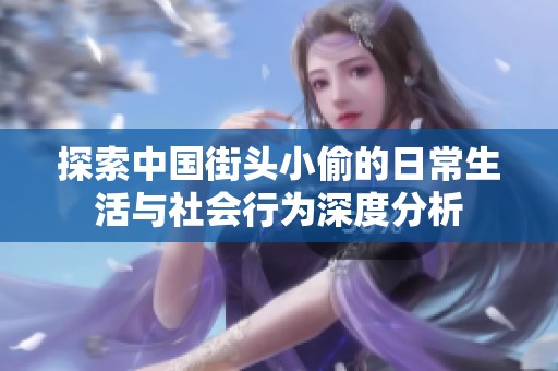 探索中国街头小偷的日常生活与社会行为深度分析