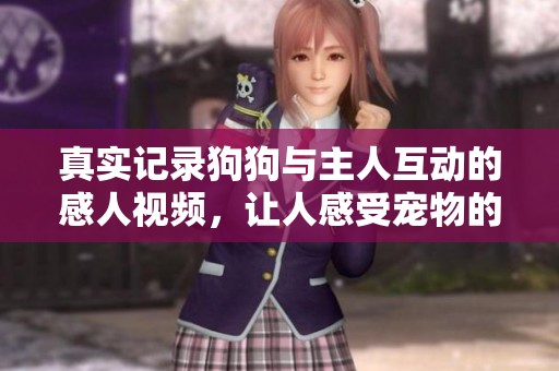 真实记录狗狗与主人互动的感人视频，让人感受宠物的温暖陪伴