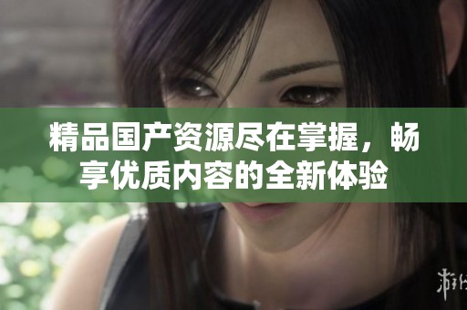 精品国产资源尽在掌握，畅享优质内容的全新体验