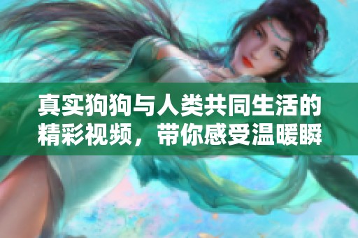 真实狗狗与人类共同生活的精彩视频，带你感受温暖瞬间