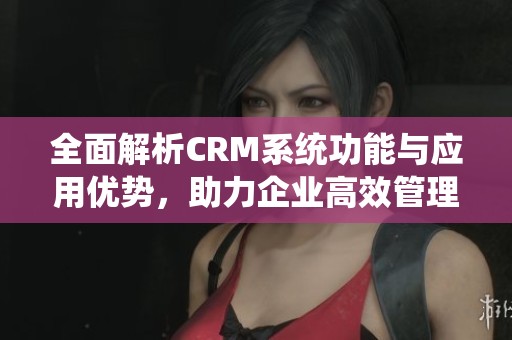 全面解析CRM系统功能与应用优势，助力企业高效管理客户关系