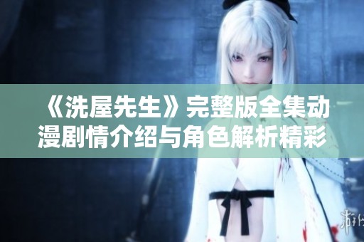 《洗屋先生》完整版全集动漫剧情介绍与角色解析精彩呈现