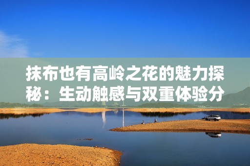 抹布也有高岭之花的魅力探秘：生动触感与双重体验分享