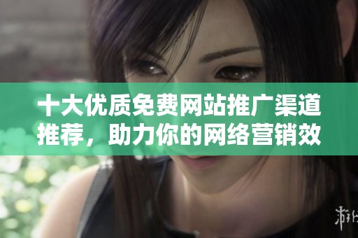 十大优质免费网站推广渠道推荐，助力你的网络营销效果提升