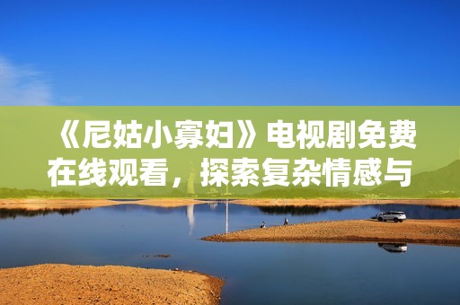 《尼姑小寡妇》电视剧免费在线观看，探索复杂情感与人性挣扎的故事魅力