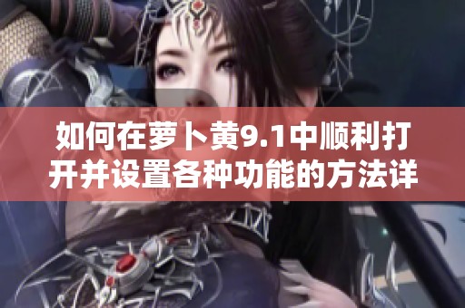 如何在萝卜黄9.1中顺利打开并设置各种功能的方法详解