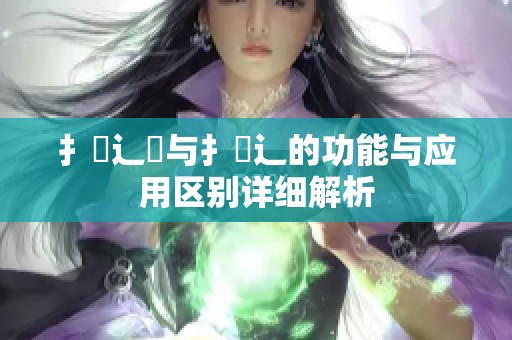 扌喿辶畑与扌喿辶的功能与应用区别详细解析