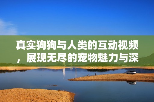 真实狗狗与人类的互动视频，展现无尽的宠物魅力与深厚情感