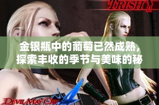 金银瓶中的葡萄已然成熟，探索丰收的季节与美味的秘密