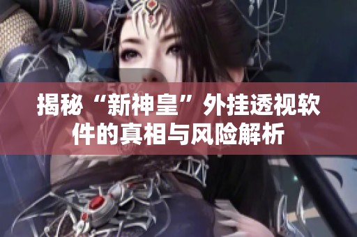 揭秘“新神皇”外挂透视软件的真相与风险解析