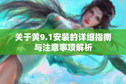 关于黄9.1安装的详细指南与注意事项解析