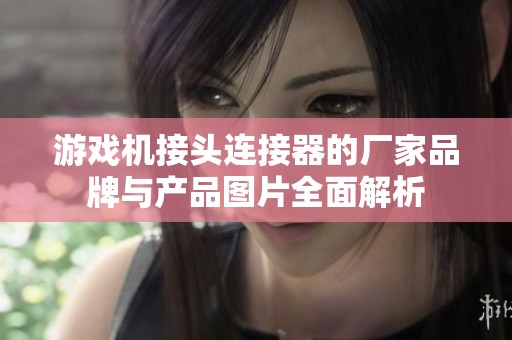 游戏机接头连接器的厂家品牌与产品图片全面解析