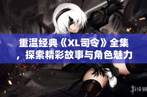 重温经典《XL司令》全集，探索精彩故事与角色魅力的奇幻旅程