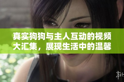 真实狗狗与主人互动的视频大汇集，展现生活中的温馨瞬间