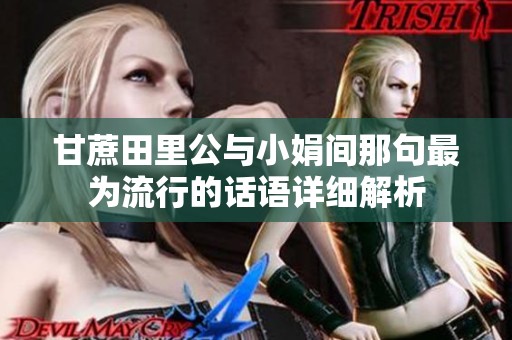 甘蔗田里公与小娟间那句最为流行的话语详细解析
