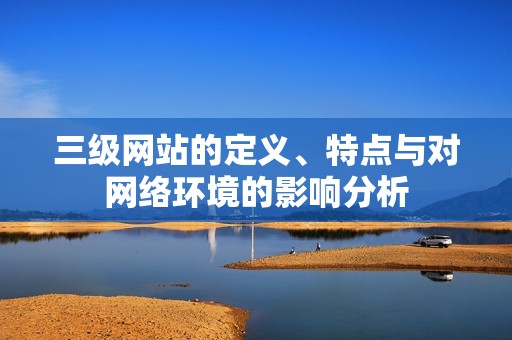 三级网站的定义、特点与对网络环境的影响分析