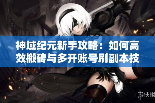 神域纪元新手攻略：如何高效搬砖与多开账号刷副本技巧解析