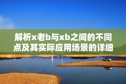 解析x老b与xb之间的不同点及其实际应用场景的详细介绍