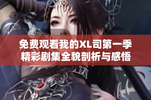 免费观看我的XL司第一季精彩剧集全貌剖析与感悟