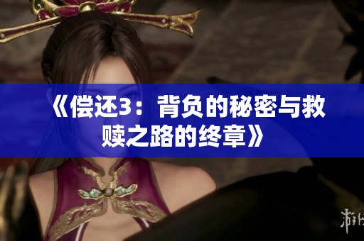 《偿还3：背负的秘密与救赎之路的终章》