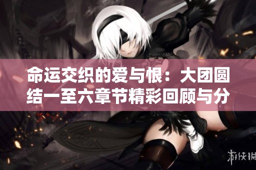 命运交织的爱与恨：大团圆结一至六章节精彩回顾与分析