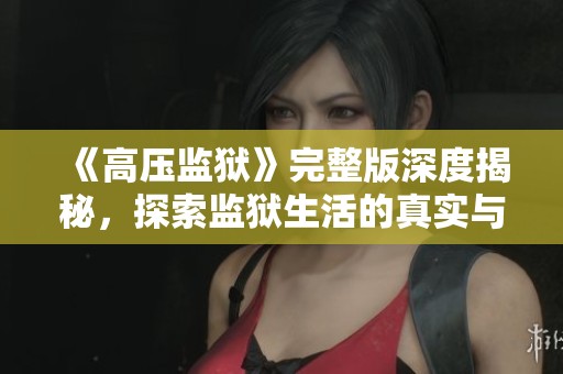 《高压监狱》完整版深度揭秘，探索监狱生活的真实与残酷之道