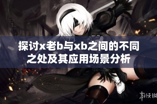 探讨x老b与xb之间的不同之处及其应用场景分析
