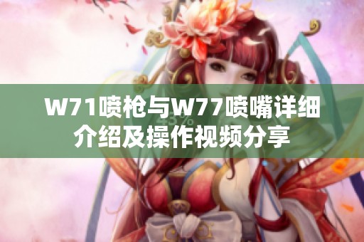 W71喷枪与W77喷嘴详细介绍及操作视频分享