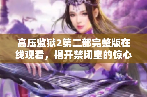 高压监狱2第二部完整版在线观看，揭开禁闭室的惊心动魄之旅