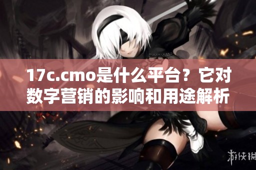 17c.cmo是什么平台？它对数字营销的影响和用途解析