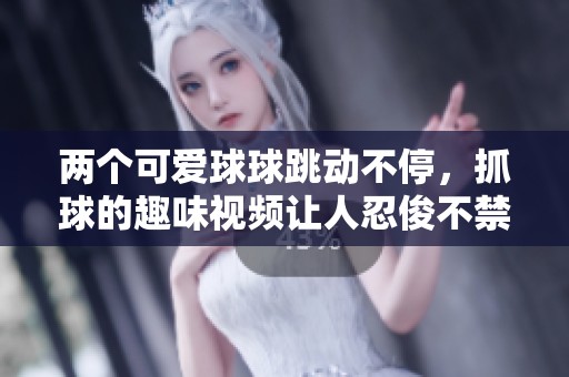 两个可爱球球跳动不停，抓球的趣味视频让人忍俊不禁