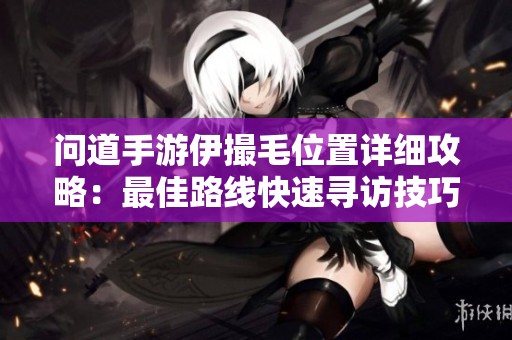 问道手游伊撮毛位置详细攻略：最佳路线快速寻访技巧分享