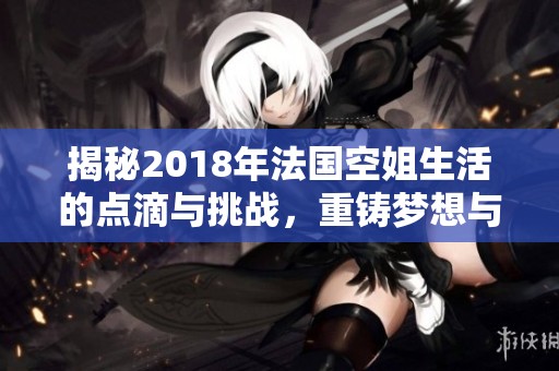 揭秘2018年法国空姐生活的点滴与挑战，重铸梦想与现实的交汇点