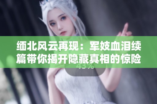 缅北风云再现：军妓血泪续篇带你揭开隐藏真相的惊险旅程