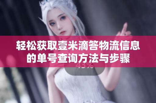 轻松获取壹米滴答物流信息的单号查询方法与步骤