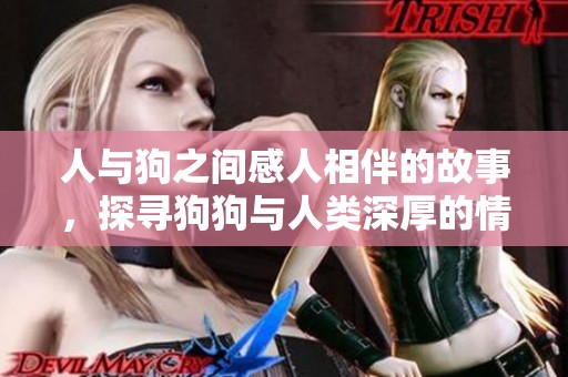 人与狗之间感人相伴的故事，探寻狗狗与人类深厚的情感纽带