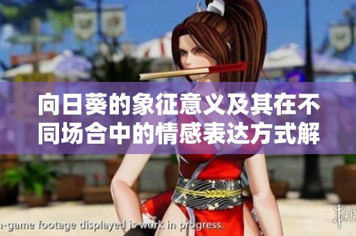 向日葵的象征意义及其在不同场合中的情感表达方式解析