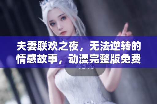 夫妻联欢之夜，无法逆转的情感故事，动漫完整版免费在线观看