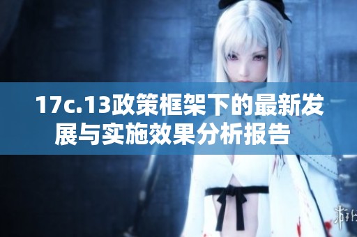 17c.13政策框架下的最新发展与实施效果分析报告  