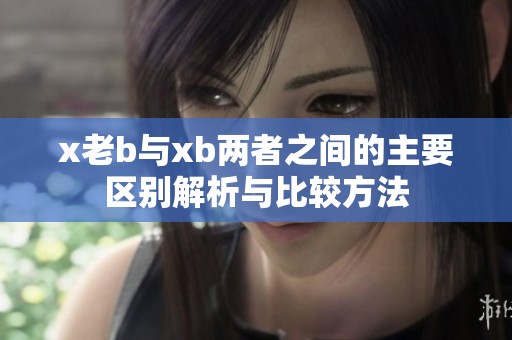 x老b与xb两者之间的主要区别解析与比较方法