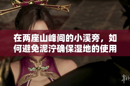 在两座山峰间的小溪旁，如何避免泥泞确保湿地的使用安全与便利
