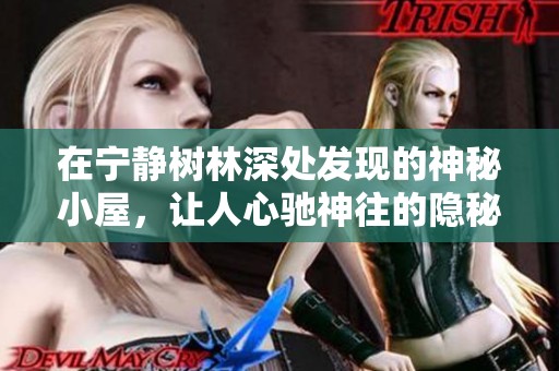 在宁静树林深处发现的神秘小屋，让人心驰神往的隐秘避世之地