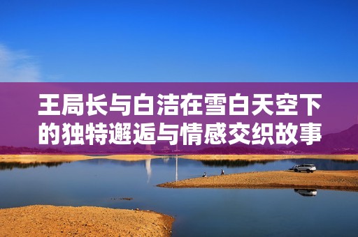 王局长与白洁在雪白天空下的独特邂逅与情感交织故事